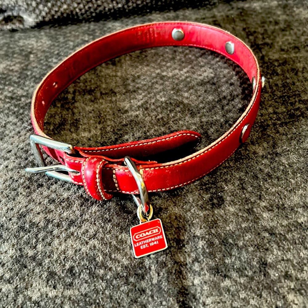 Coach dog collar. Good used condition. Reposhing.  To big for my dog.